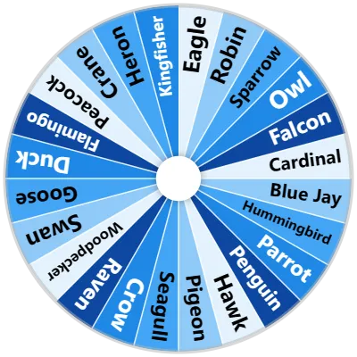 Bird Spinner
