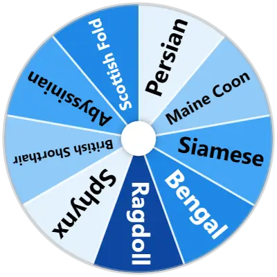 Cat Breed Spinner
