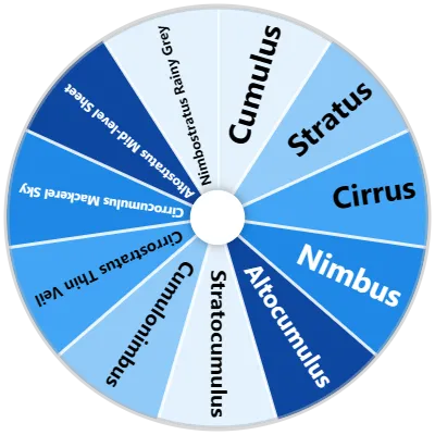 Cloud Type Spinner