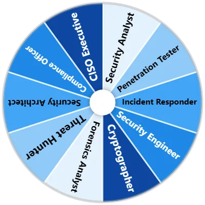 Cybersecurity Careers Spinner