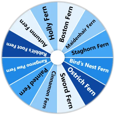 Fern Varieties Spinner