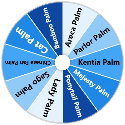 Indoor Palm Trees Spinner