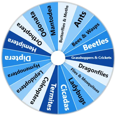 Insect Groups Spinner