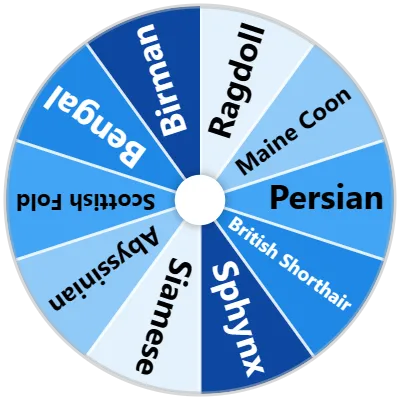 Modern Cat Breed Spinner
