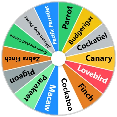 Pet Birds Spinner