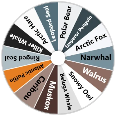 Polar Animals Spinner