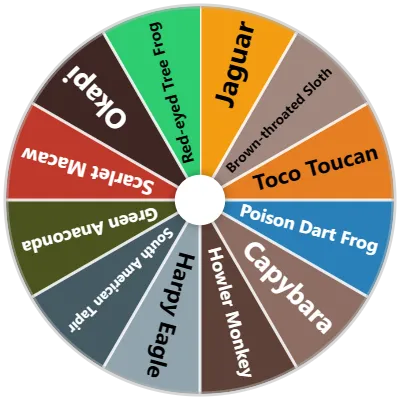 Rainforest Animals Spinner