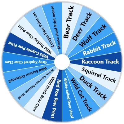Animal Tracks Spinner