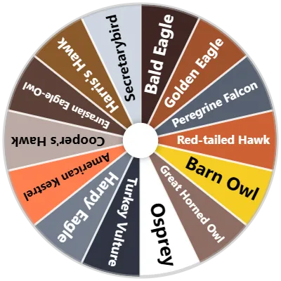 Birds of Prey Spinner