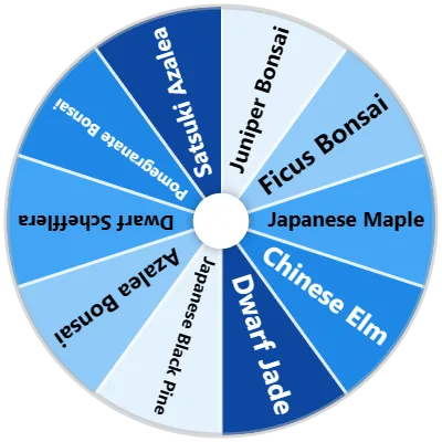 Bonsai Tree Species Spinner