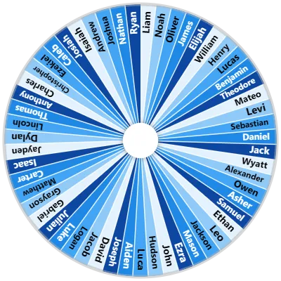 Boy Name Spinner