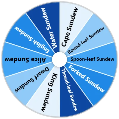Sundew Species Spinner