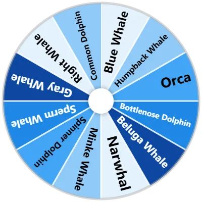 Whales & Dolphins Species Spinner