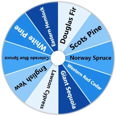 Coniferous Tree Species Spinner