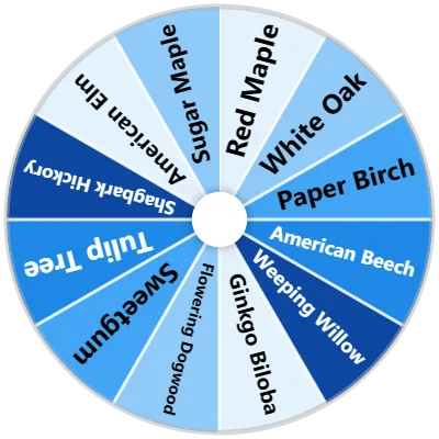 Deciduous Forest Trees Spinner