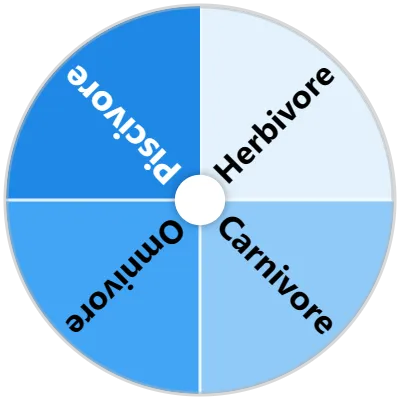 Dinosaur Diets Spinner