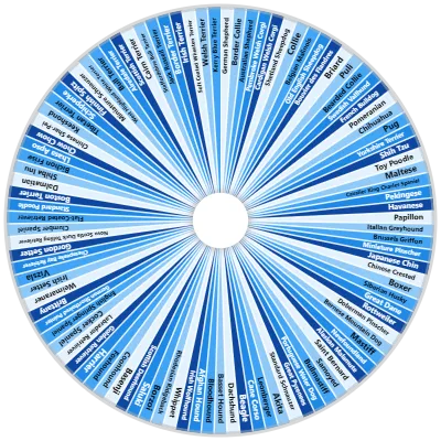 Dog Breed Spinner