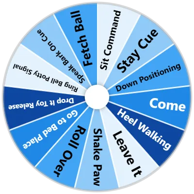 Dog Training Commands Spinner