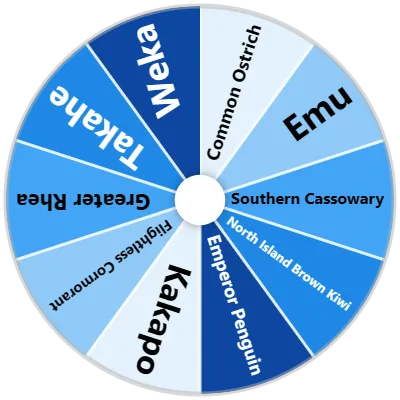 Flightless Bird Species Spinner