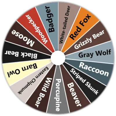 Forest Animals Spinner