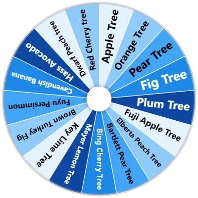 Fruit Tree Spinner