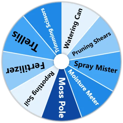 Houseplant Care Tools Spinner