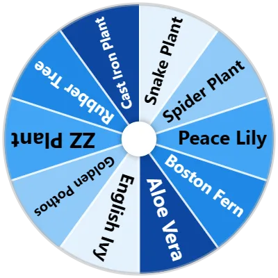Air-Purifying Plants Spinner