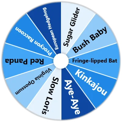 Nocturnal Mammals Spinner