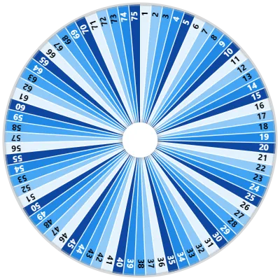 Number Spinner (1-75)