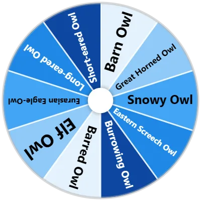 Owl Species Spinner