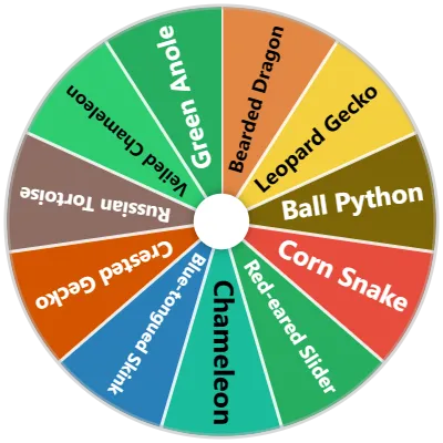Pet Reptiles Spinner