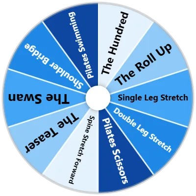Pilates Exercises Spinner