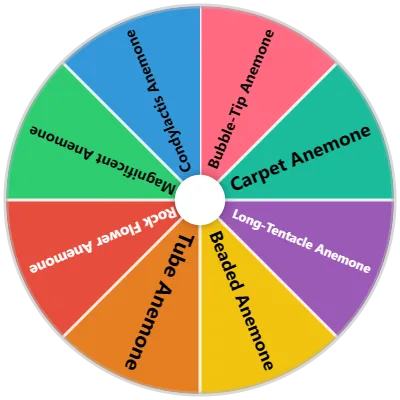 Sea Anemone Species Spinner