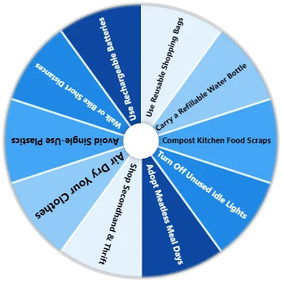 Daily Sustainable Habits Spinner