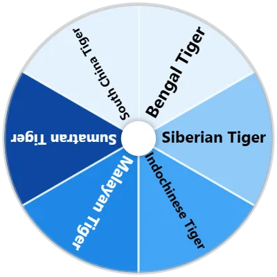 Tiger Spinner