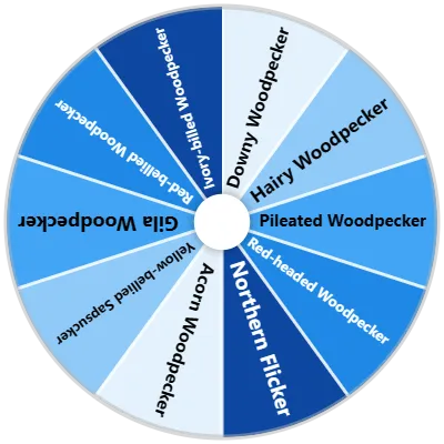 Woodpecker Species Spinner